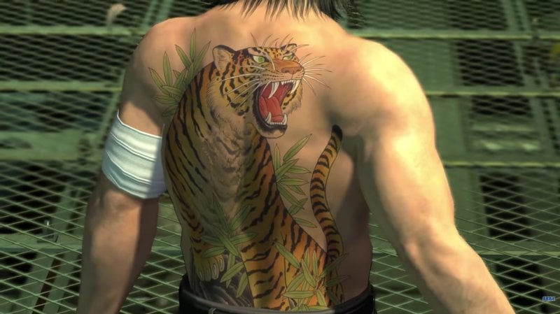 La tigre è l'unico animale leggendario che può tener testa al dragone