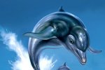 Ci sono diversi giochi di Ecco the Dolphin ufficialmente in sviluppo, tra remake e spin-off - Notizia