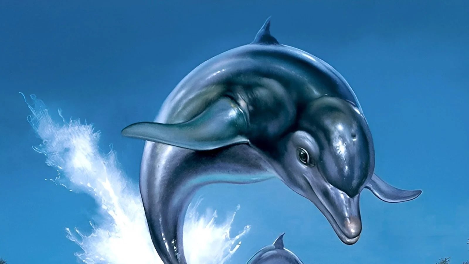 Ecco che salta fuori dall'acqua