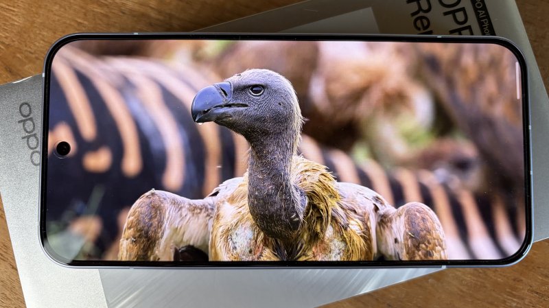 Il display, pur non essendo LTPO, si comporta davvero bene