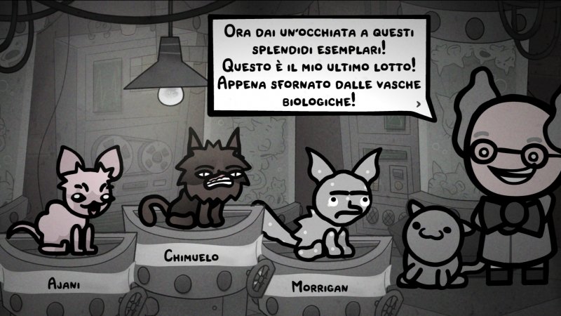 Il Professor Beanies ci accoglie nel magico mondo dei gatti e della scienza