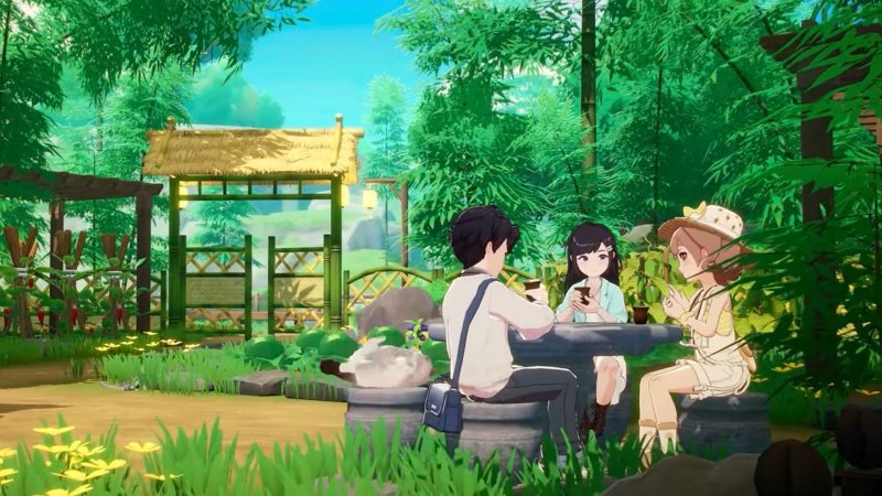 Un momento conviviale nel verde di Starsand Island