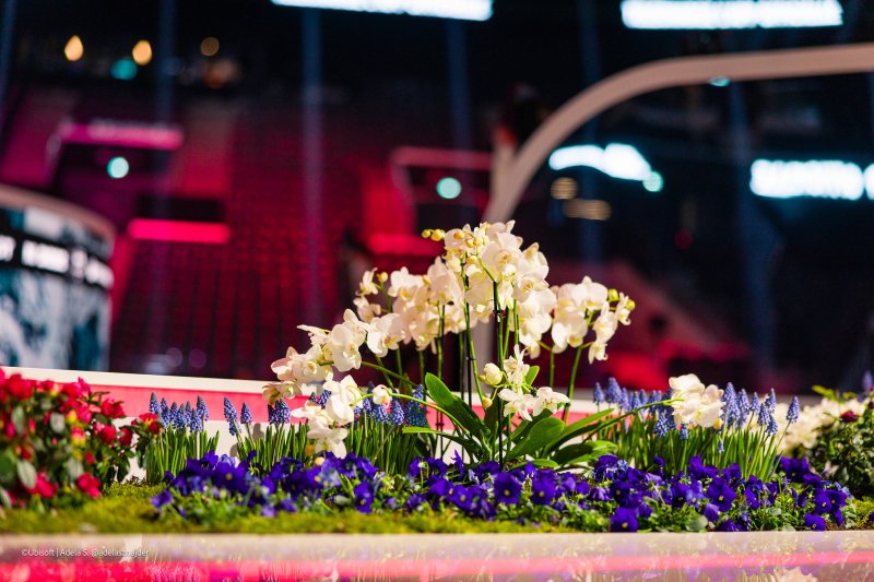 I fiori freschi piantumati nel palco (Photo by Adela Sznajder / Ubisoft)
