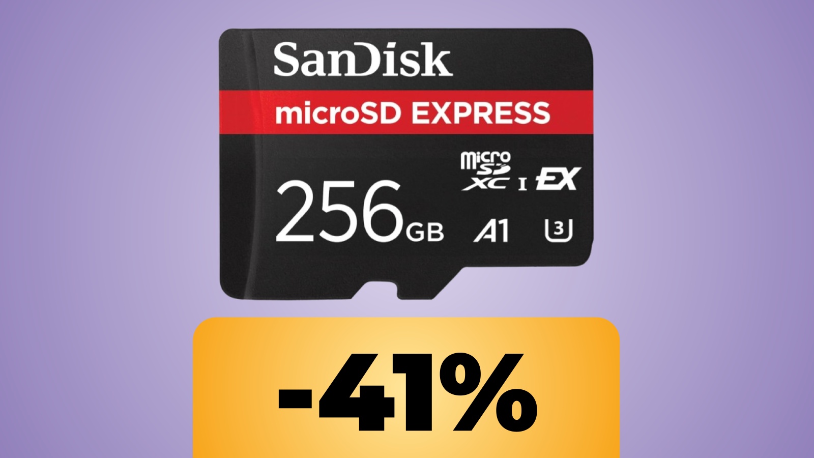 microSD SanDisk da 256GB