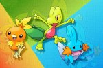 Pokémon Rubino, Zaffiro e Smeraldo potrebbero arrivare su Nintendo Switch - Notizia