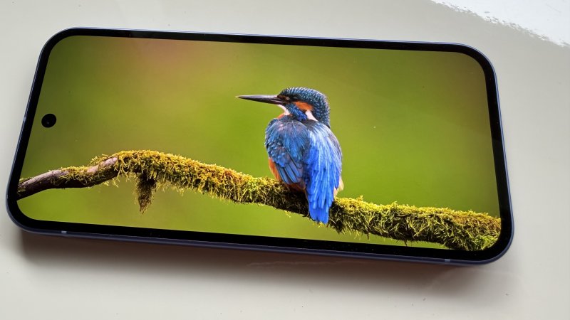 Il display è quasi identico al Pixel 9a, ma con luminosità e contrasto superiori