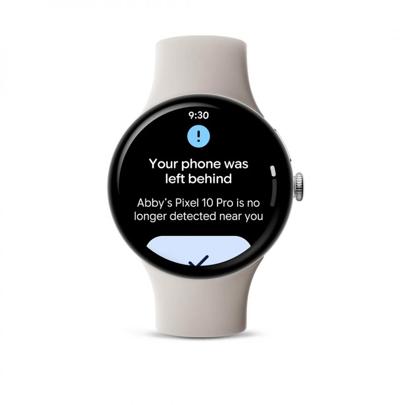 Gli avvisi su Pixel Watch