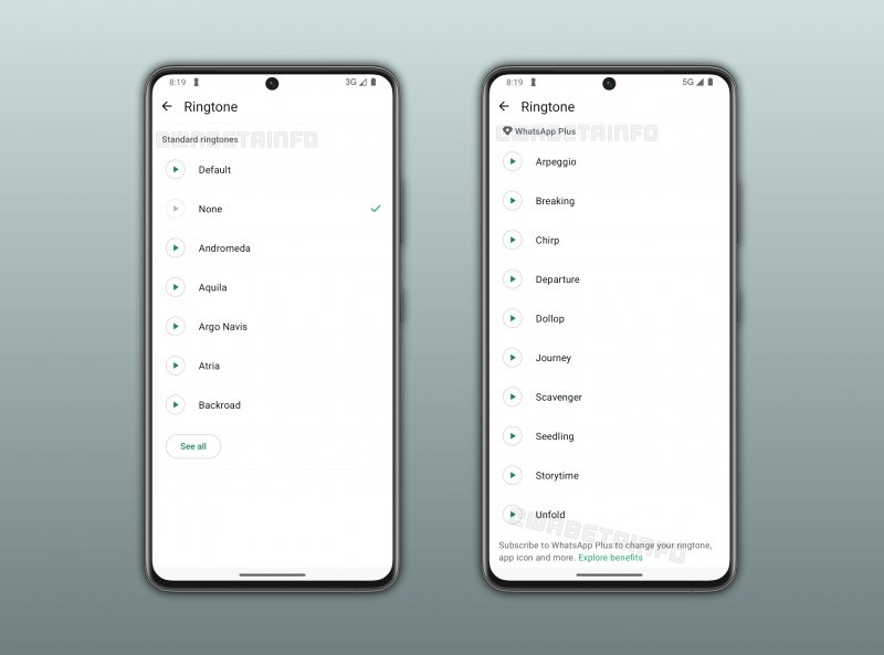 Le suonerie per gli abbonati a WhatsApp Plus (fonte: wabetainfo)