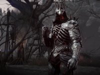 Black Desert Online festeggia i 10 anni di attività in Nord America ed Europa con doni e iniziative