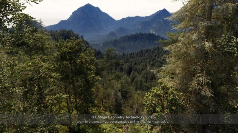 Nel momento in cui scriviamo NVIDIA non ha reso pubblico il filmato, ma solo un immagine tratta dalla demo