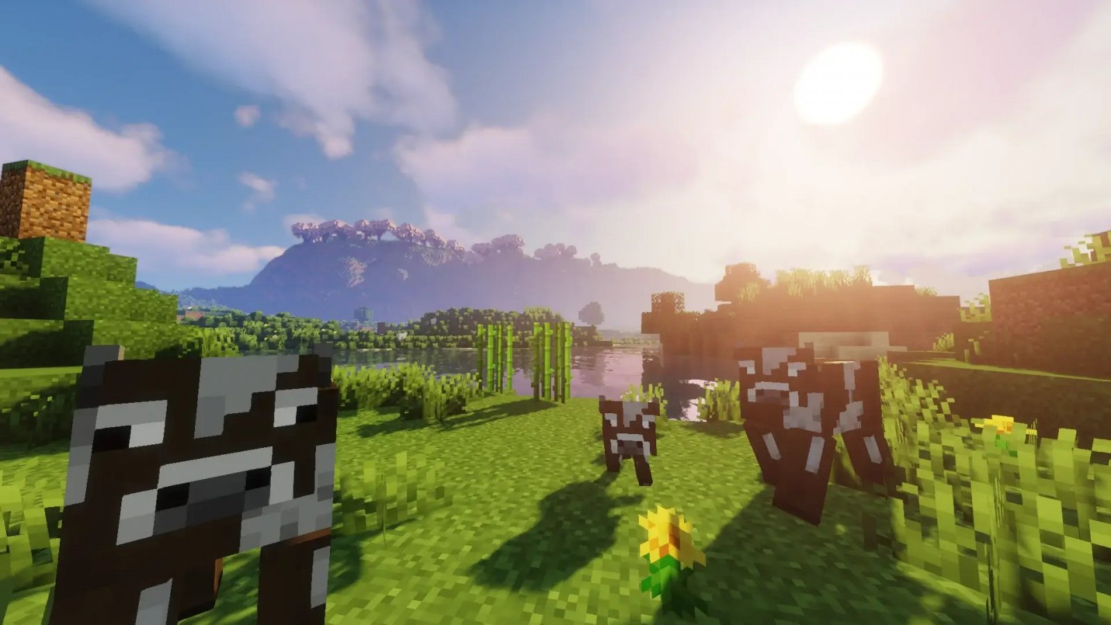Minecraft ha assunto una persona che "sussurra alle mucche" e veri "doppiatori di animali"