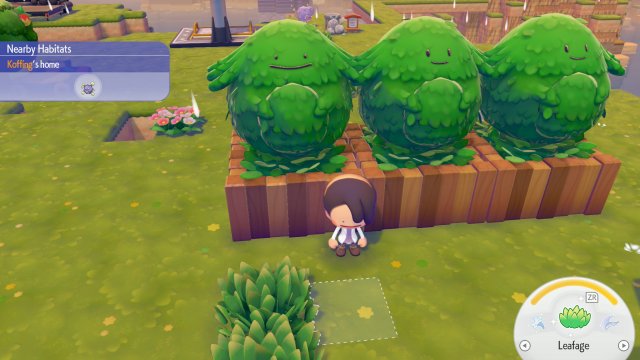 Le varianti della piante Chansey di Pokémon Pokopia