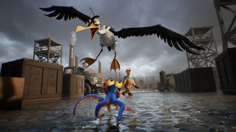 I gabbiani sono una notevole minaccia