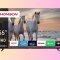 Sei alla ricerca di un nuovo TV? Su AliExpress il Thomson 4K, HDR, 55' e con Android TV integrato cala drasticamente di prezzo