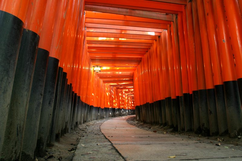 Gli archi del santuario di Fushimi Inari-Taisha che hanno ispirato quelli di Star Fox
