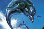 Ecco the Dolphin: Complete annunciata, è una raccolta con due remaster e un nuovo gioco