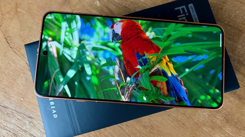 Lo schermo di OPPO Find X9 Ultra è di eccellente qualità