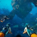 Subnautica 2 è pronto al lancio in accesso anticipato e mostra nuovi contenuti in video