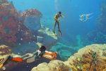 Il lead designer di Subnautica 2 capisce chi pirata i giochi, ma odia chi se ne vanta - Notizia