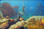 Subnautica 2 ha venduto 5 milioni di copie: Krafton lo vuole rendere un franchise