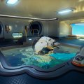 Subnautica 2 vuole essere un gioco di sopravvivenza non violento, anche in risposta a un massacro USA