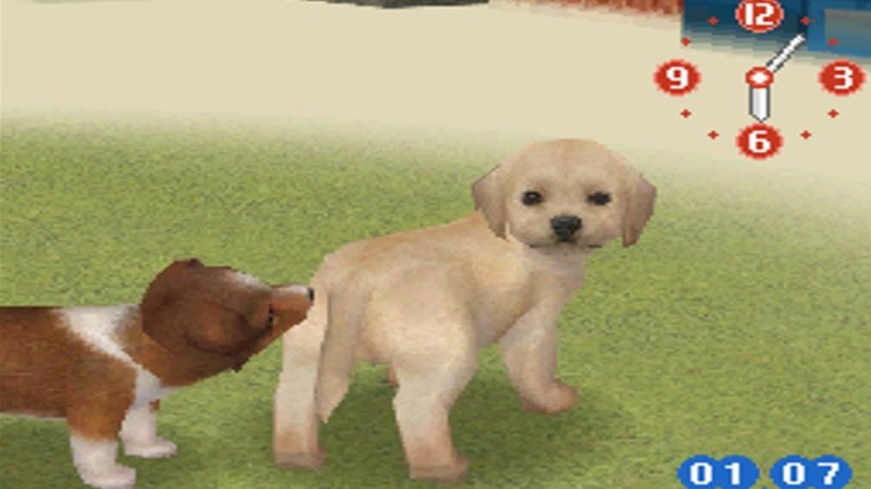Con Nintendogs tutti potevano avere un cane in casa, anche chi non aveva abbastanza spazio