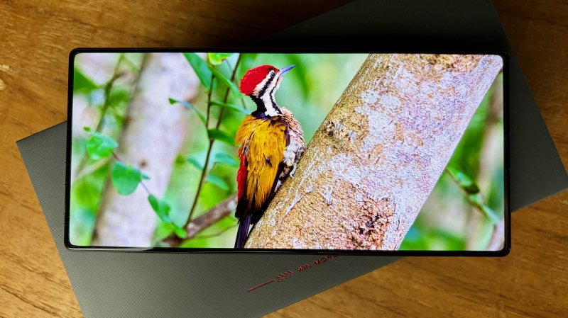 Non cambia nulla di sostanziale nel display di REDMAGIC 11S Pro