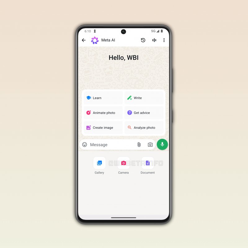 Fonte: WABetaInfo