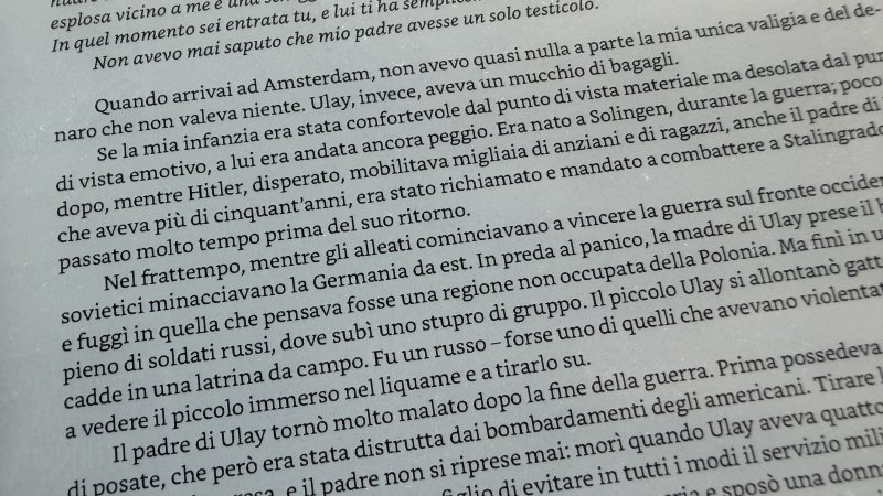 Il display ha una nitidezza eccezionale