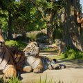 Planet Zoo 2 è stato annunciato per PC, PS5 e Xbox Series X|S con un primo trailer