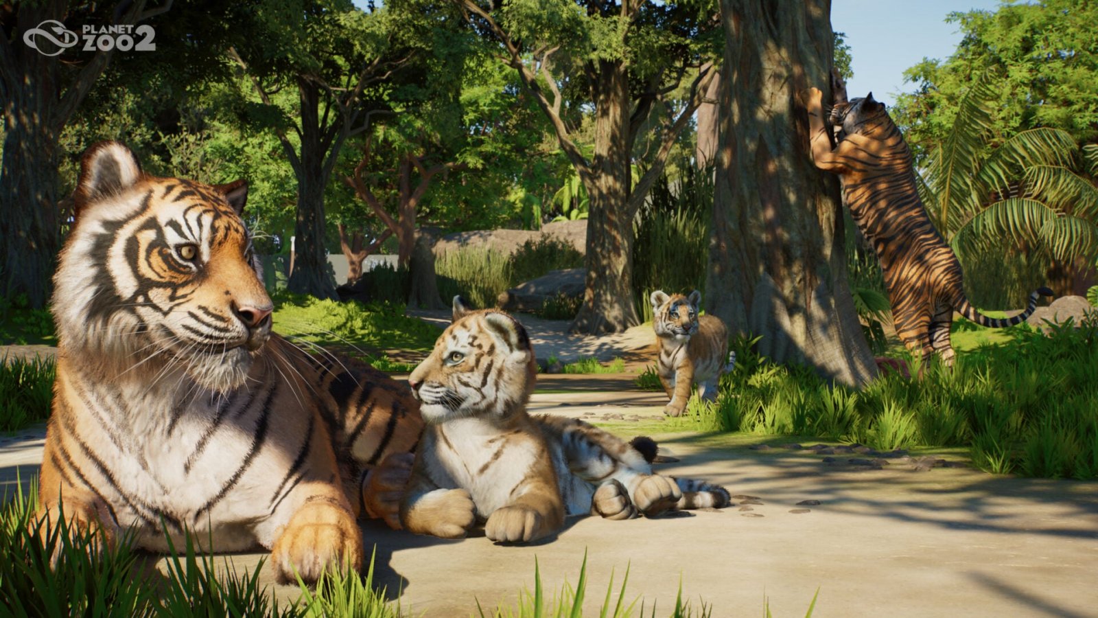 Planet Zoo 2 è stato annunciato per PC, PS5 e Xbox Series X|S con un primo trailer