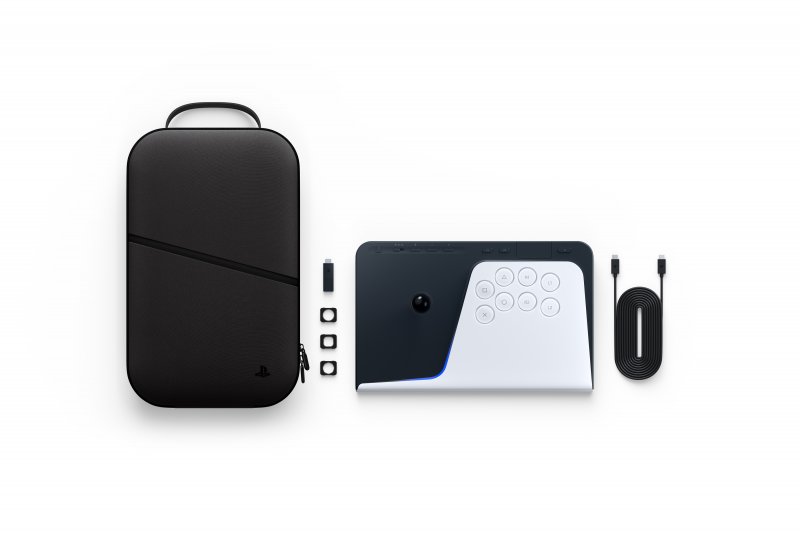 Il FlexStrike viene venduto con in dotazione il cavo, il dongle e una pratica borsa per portarlo in giro