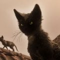 In 1666: Amsterdam controlleremo anche un gatto, ecco come funzioneranno le epoche