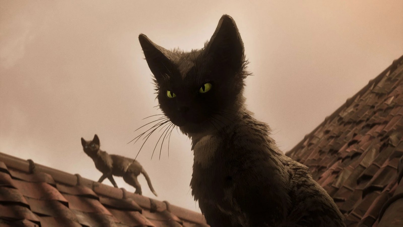 In 1666: Amsterdam controlleremo anche un gatto, ecco come funzioneranno le epoche