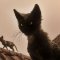 In 1666: Amsterdam controlleremo anche un gatto, ecco come funzioneranno le epoche
