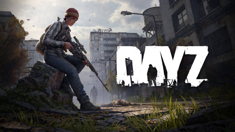 La copertina di DayZ Cool Edition