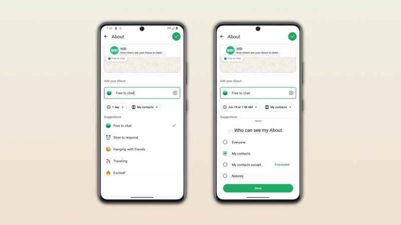 La nuova sezione Info di WhatsApp (fonte: wabetainfo)