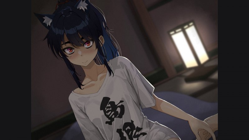 I personaggi sono in stile anime