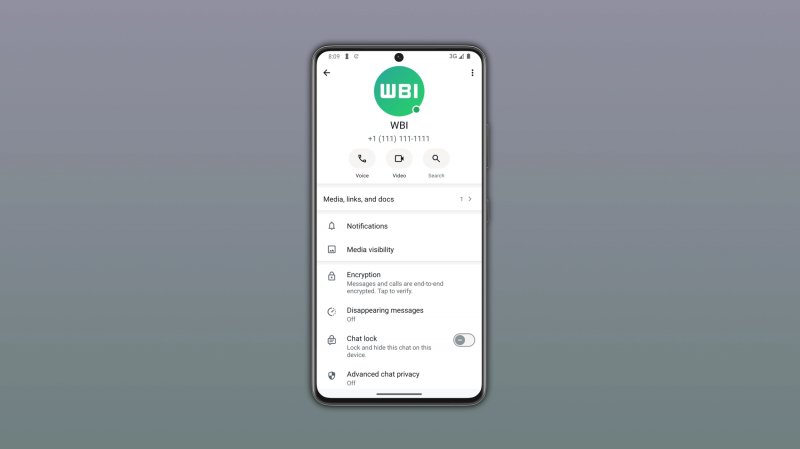 Il pallino verde per i contatti online nella beta di WhatsApp (fonte: wabetainfo)