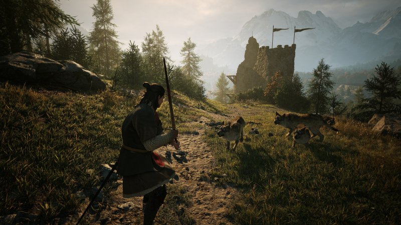 L'infrastruttura del gameplay è esattamente identica a quella di The Witcher 3