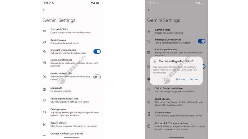 Come dovrebbe apparire l'interrutture per spegnere la visione guidata in Gemini Live (fonte: Android Authority