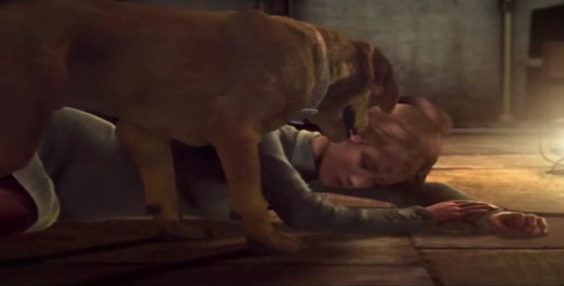 L'idea di avere come protagonisti una ragazza e un cane era già presente in Haunting Ground di Capcom