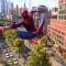 Marvel's Spider-Man 2 aggiorna il costume di Brand New Day dopo le critiche dei fan