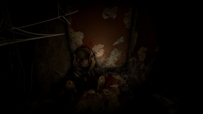 S.T.A.L.K.E.R. 2: Cost of Hope