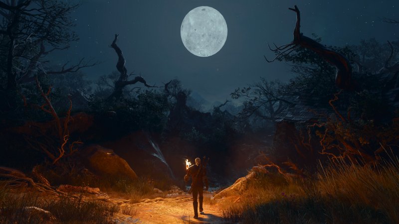 The Witcher 3: Wild Hunt - Songs of the Past