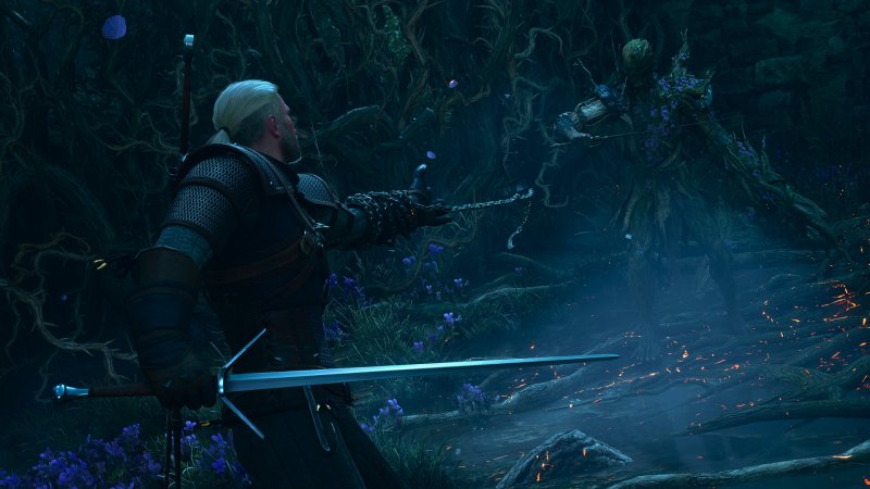 The Witcher 3: Wild Hunt - Songs of the Past