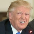 Donald Trump usa Sonic e altre serie per dei videogiochi antiimmigrazione, scoppiano le polemiche