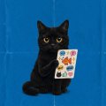 OpenAI presenta ChatGPT Images 2.5: ora le immagini sono ancora più precise e dettagliate