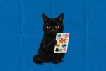 OpenAI presenta ChatGPT Images 2.5: ora le immagini sono ancora più precise e dettagliate