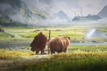 Blizzard ha presentato World of Warcraft Forever, la nuova versione "classica espansa" del MMORPG